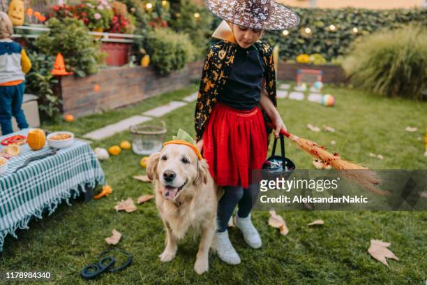 ready for some trick or treating - halloween dog stock pictures, royalty-free photos & images