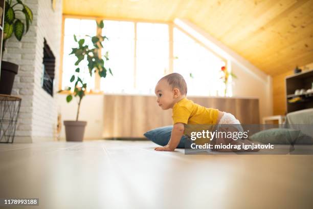 dags för lite skattjakt - baby crawling away bildbanksfoton och bilder