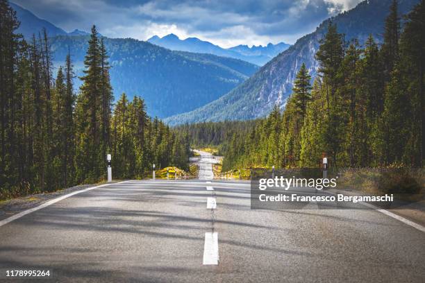 straight road in the wild mountain forest. - road front view stock pictures, royalty-free photos & images