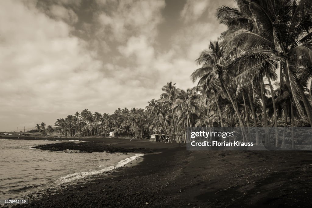 Black Sand Beach Hawaii