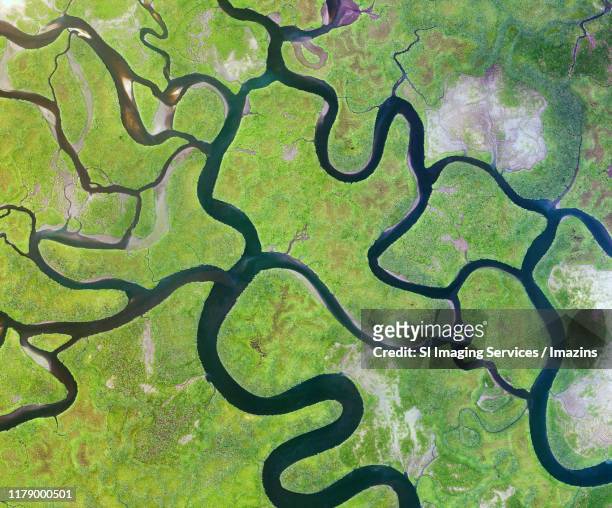 satellite view of an island in guinea-bissau, africa - africa from space stock pictures, royalty-free photos & images