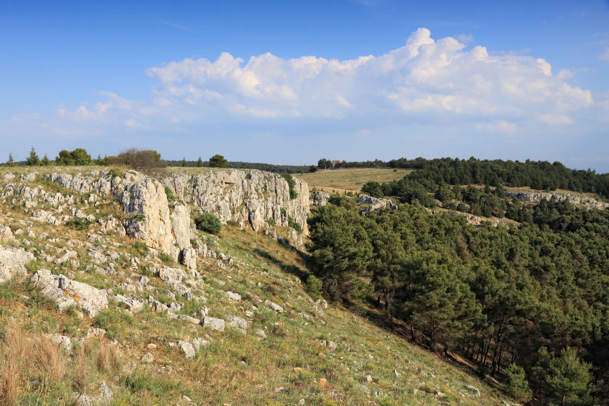 Murgia escursioni