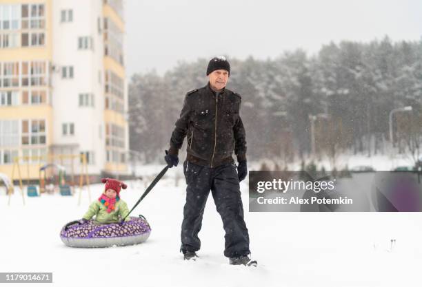 70-years-old senior man, grandfather, walking under snowfall, carrying his 2-years-old granddaughter on a snowtube. - inflatable playground stock pictures, royalty-free photos & images