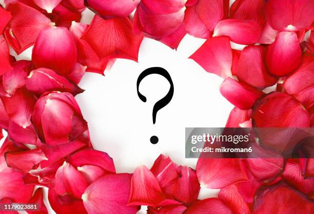 Mark Rise Photos and Premium High Res Pictures - Getty Images