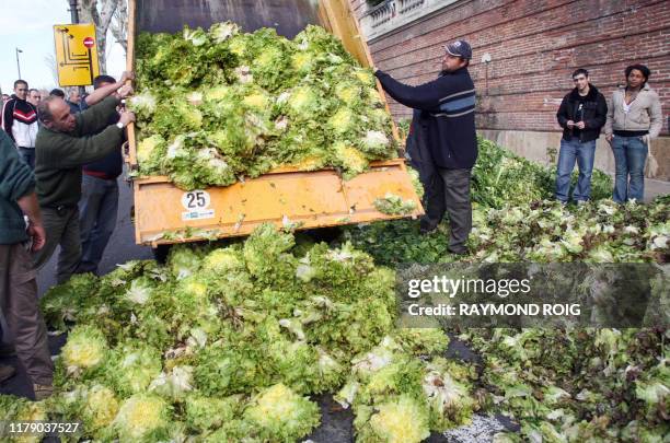 Des agriculteurs déversent des salades devant la préfecture de Perpignan, pour exprimer leur mécontentement, le 05 mars 2007. Victime d'un hiver doux...