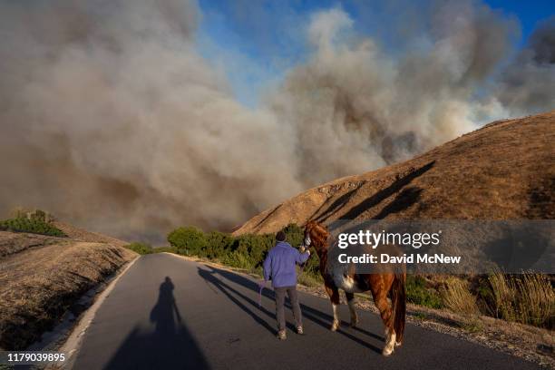 Man evacuates horses as the Easy Fire approaches on October 30, 2019 near Simi Valley, California. The National Weather Service issued a rare extreme...