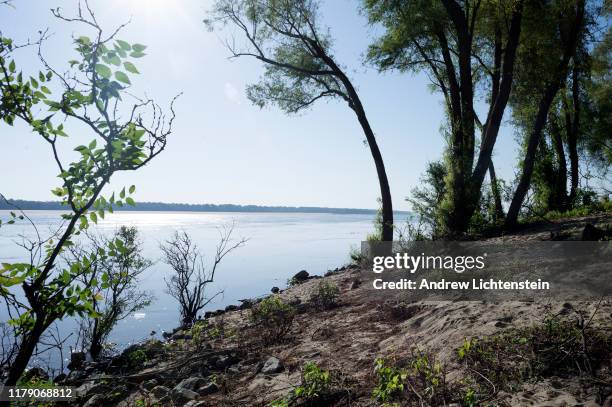 The Mississippi River flows past one of the rare areas where the riverbank is preserved in its natural, wild, state, on September 27, 2019 in St,...