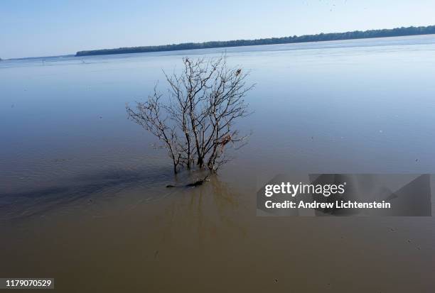 The Mississippi River flows past one of the rare areas where the riverbank is preserved in its natural, wild, state, on September 27, 2019 in St,...