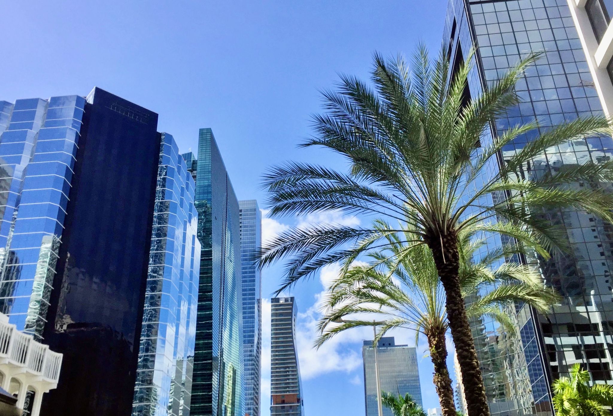 miami technology