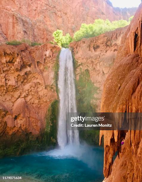 havasupai falls waterfalls - mooney falls stock pictures, royalty-free photos & images