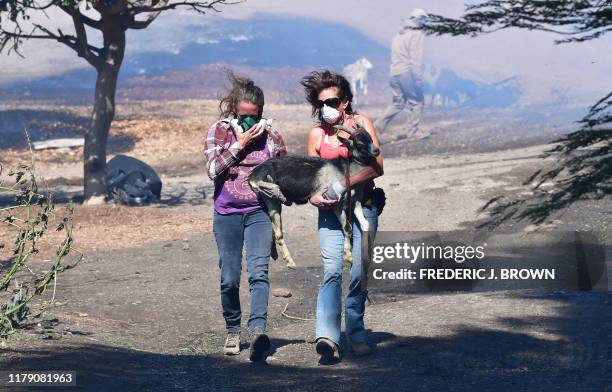 Robyn Phipps and Laura Horvitz help rescue a goat from a ranch near the Ronald Reagan Presidential Library in Simi Valley during the Easy Fire in...