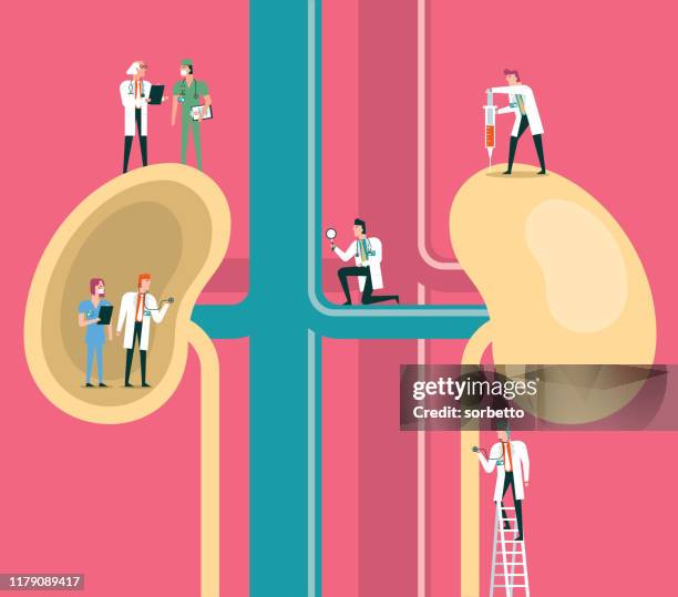 kidneys - operations team stock illustrations