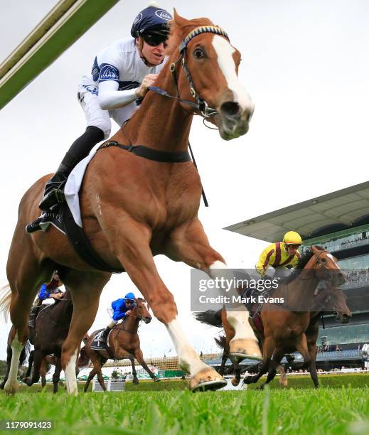 Surrey Racetrack Surrey Racetrack Photos and Premium High Res Pictures - Getty Images