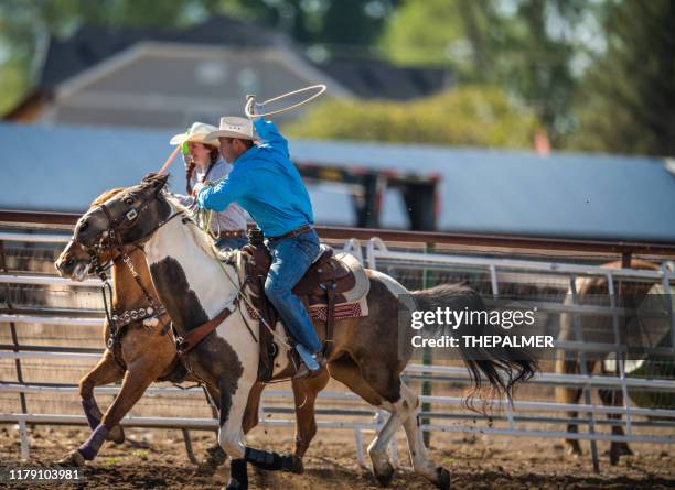 Team Roping Rodeo Action High-Res Stock Photo - Getty Images