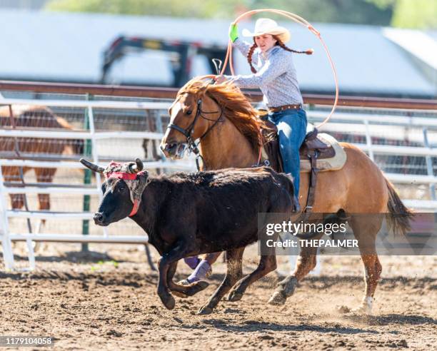 Cadle Roping 1,835 Rodeo Calf Roping Stock Photos, High-Res Pictures, and Images ...