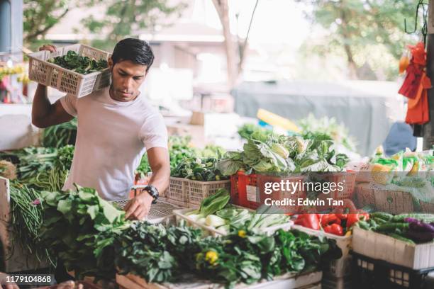 an asian malay vegetable owner arranging vegetables at his stall getting ready for the day - fete stock pictures, royalty-free photos & images