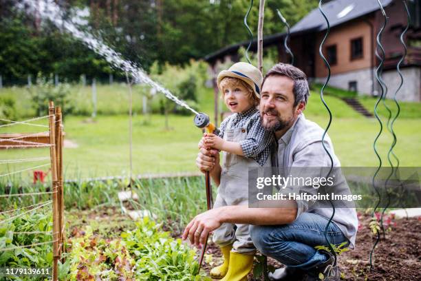 a portrait of small boy with father gardening outdoors, watering seedlings. - father and son gardening stock pictures, royalty-free photos & images