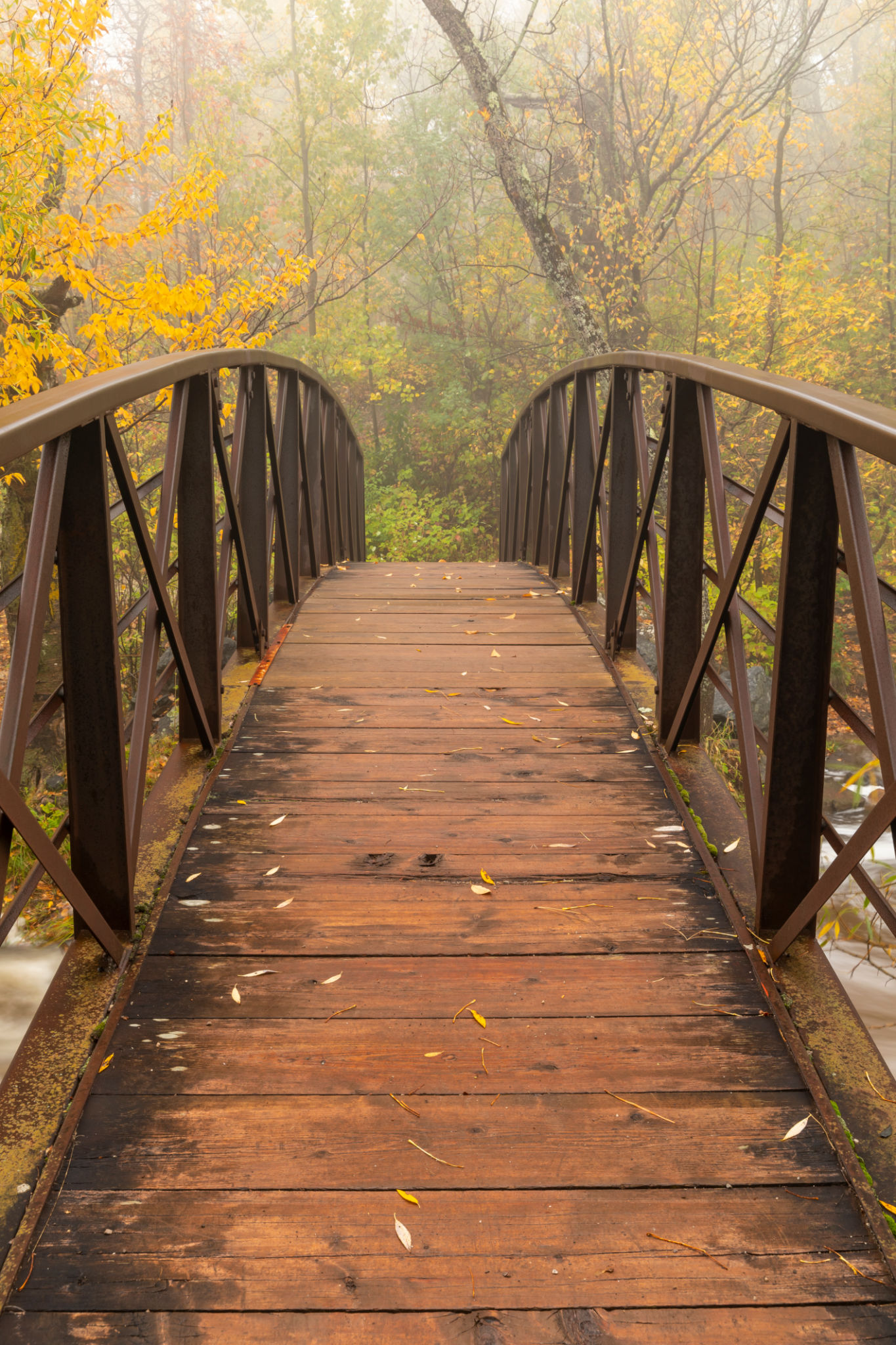 duluth hiking trail