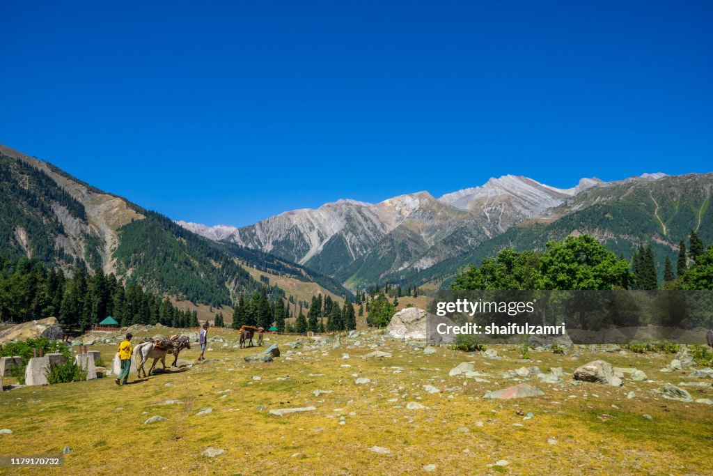 Beautiful view of Sonamarg valley in Kashmir, India