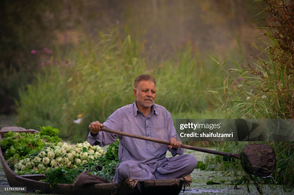 An elderly Kashmiri man paddling a shikara