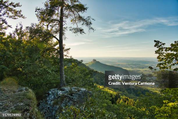 view from the mountain down to the hohenzollern castle, germany - burg hohenzollern stockfoto's en -beelden