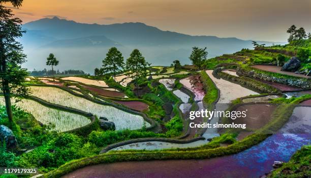 rice terrace against mountain - yuanyang stock pictures, royalty-free photos & images