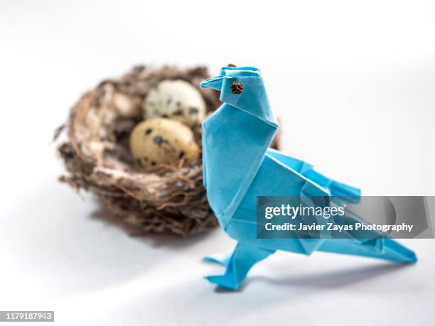 three little fresh eggs in a nest and a paper bird (origami) on white background - origami stock pictures, royalty-free photos & images