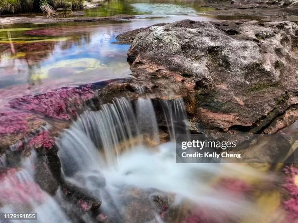 caño cristales, river of five colors - caño cristales river stock pictures, royalty-free photos & images