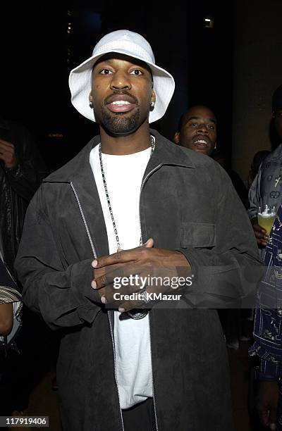 Baron Davis from the Charlotte Hornets during 30 Years of Nike Basketball Party at Philadelphia Museum of Art in Philadelphia, Pennsylvania, United...