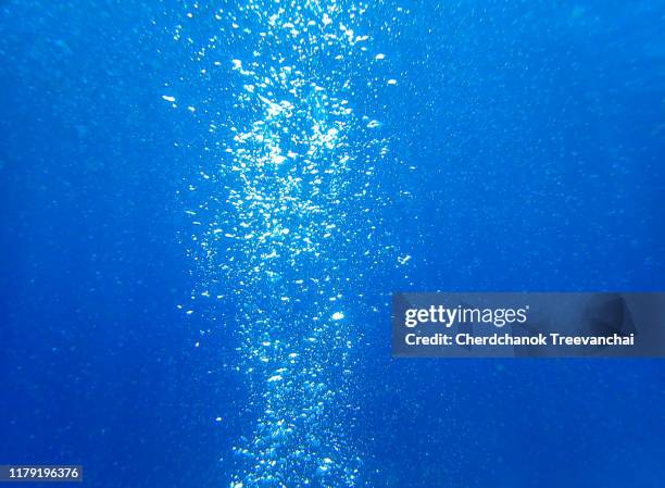 air bubble blow out from the diving - marine aquarium foto e immagini stock