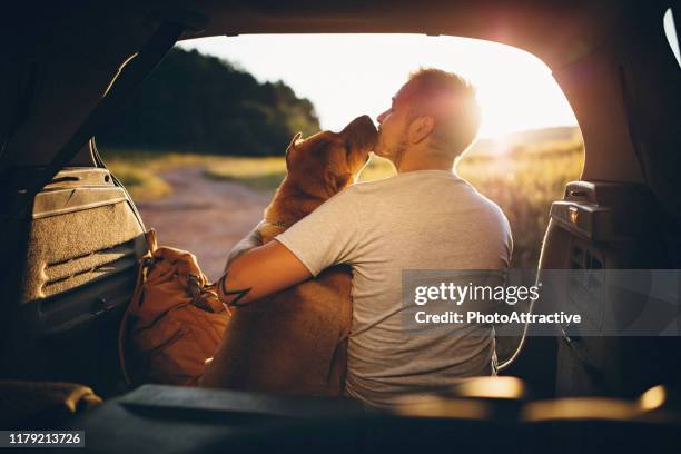 男性と犬 - man car ストックフォトと画像