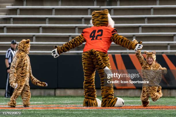 General view of the Princeton Tigers mascot during the college football game between the Harvard Crimson and Princeton Tigers on October 26, 2019 at...