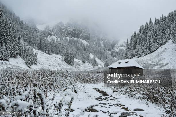 Snow covered fir trees surround a cabin at Valea Rea on Fagaras mountains near Nucsoara, central Romania on October 31, 2019.