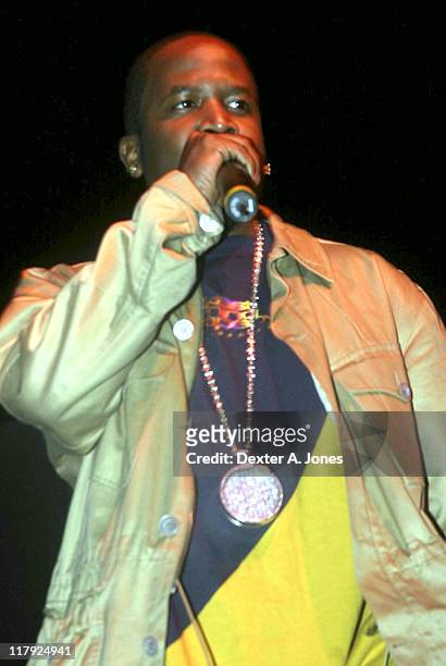 Big Boi of Outcast during All-Star Weekend Concert Series - February 20, 2005 at Colorado Convention Center in Denver, Colorado, United States.