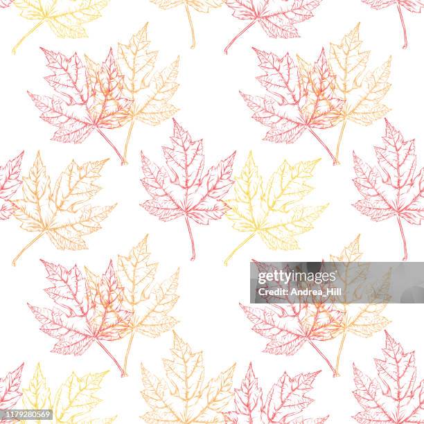 maple leaf vector ink seamless pattern - maple tree white background stock illustrations