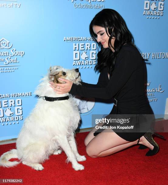 Ariel Winter attends the 9th Annual American Humane Hero Dog Awards at The Beverly Hilton Hotel on October 05, 2019 in Beverly Hills, California.