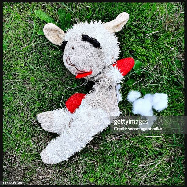 141 Lamb Stuffed Animal Photos and Premium High Res Pictures - Getty Images 141 Lamb Stuffed Animal Photos and Premium High Res Pictures - Getty Images