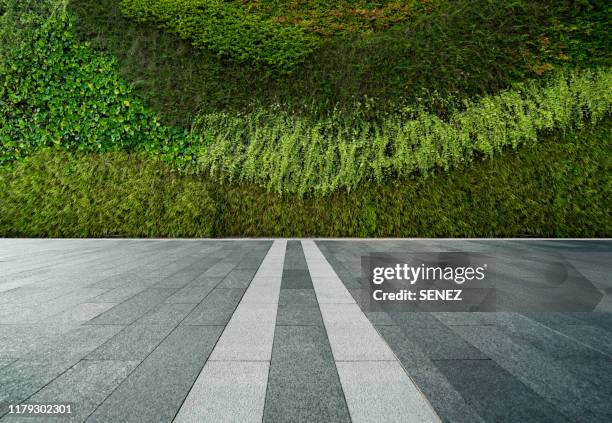 wall decorated with the plants - car park barrier stock pictures, royalty-free photos & images