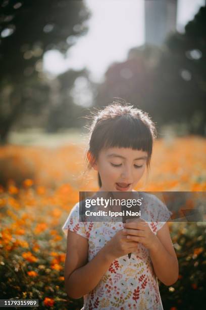 adorable young girl eating chocolate ice cream in flower field - girl in orange dress stock pictures, royalty-free photos & images