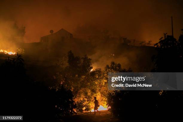 An avocado farm burns in the Maria Fire, which exploded to 8,000 acres on its first night, on November 1, 2019 near Somis, California. Southern...