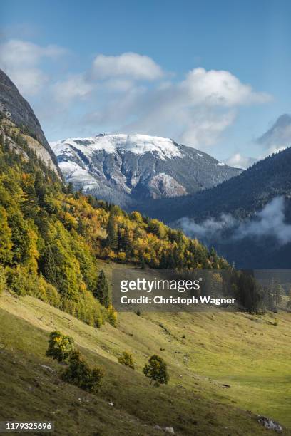 bayerische alpen - großer ahornboden - mittenwald stock pictures, royalty-free photos & images