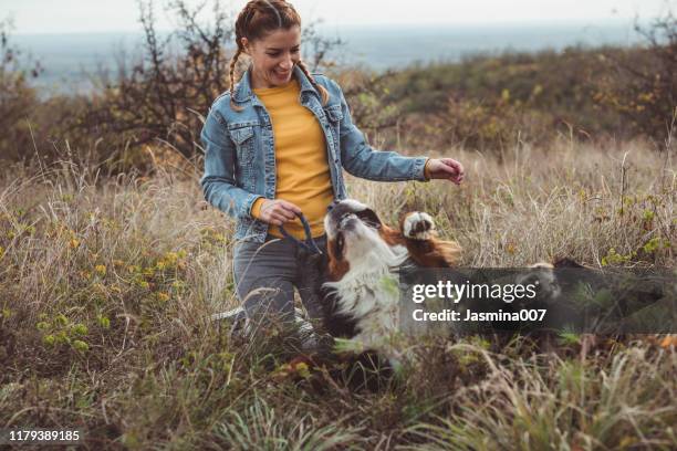 junge frau mit hund - bernese mountain dog stock-fotos und bilder