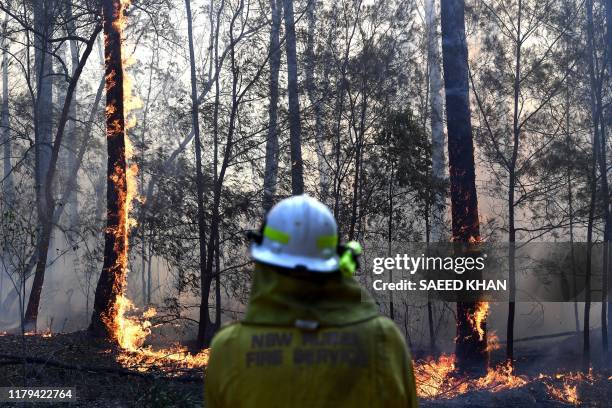 Firefighter works as a bushfire, believed to have been sparked by a lightning strike that has ravaged an area of over 2,000 hectares in northern New...