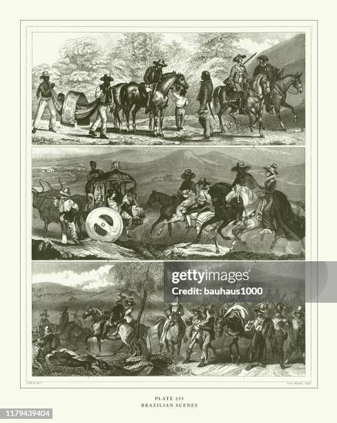 engraved antique, brazilian scenes engraving antique illustration, published 1851 - bay of fundy stock illustrations