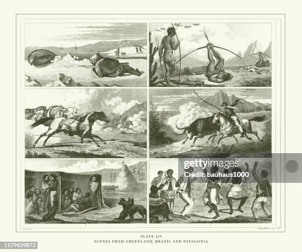 ilustrações de stock, clip art, desenhos animados e ícones de engraved antique, scenes from greenland, brazil and patagonia engraving antique illustration, published 1851 - indio brasileiro