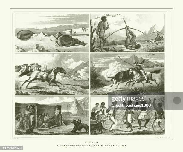 engraved antique, scenes from greenland, brazil and patagonia engraving antique illustration, published 1851 - animal sport stock illustrations