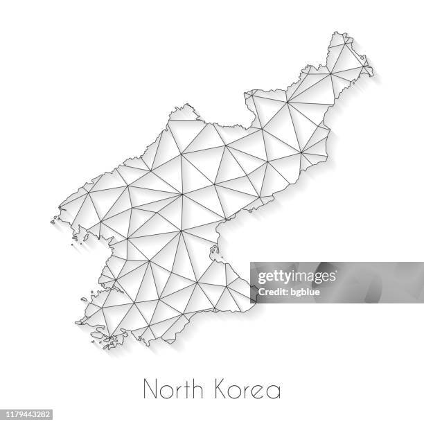 stockillustraties, clipart, cartoons en iconen met korea-noord-kaart verbinding-netwerk mesh op witte achtergrond - north korea