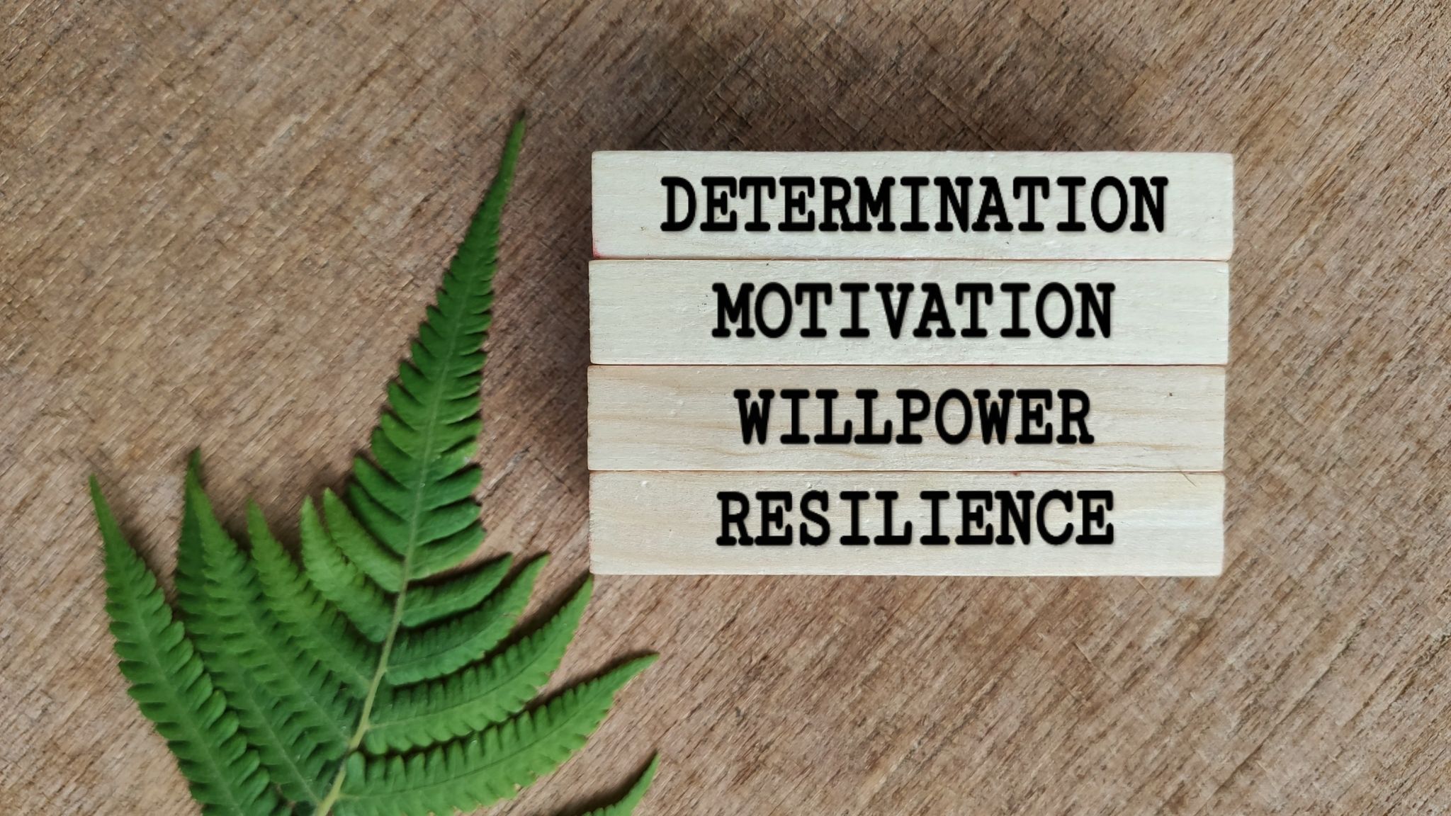 Motivational and inspirational Motivational and inspirational
