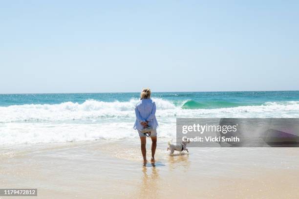 woman over 60 years walking on the beach with a small white dog - 401k stock pictures, royalty-free photos & images