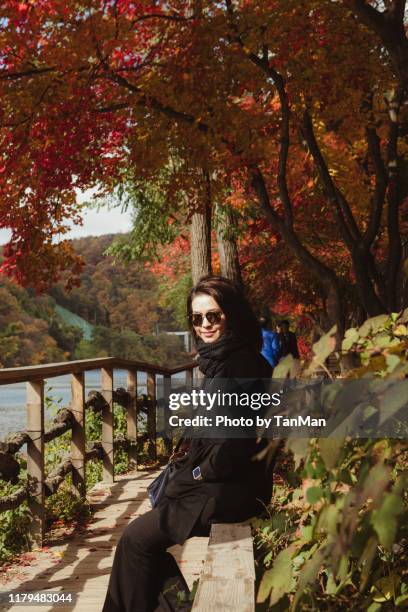 autumn foliage in nami island, south korea - chuncheon fotos fotografías e imágenes de stock